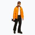 Pantaloni de schi pentru bărbați The North Face Chakal negru NF0A5IYVJK31 2