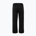 Pantaloni de schi pentru bărbați The North Face Chakal negru NF0A5IYVJK31 6