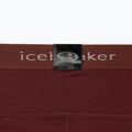 Pantaloni termici pentru femei Icebreaker 200 Oasis maro IB1043830641 10
