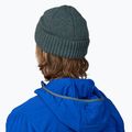 Căciulă Patagonia Brodeo Beanie fitz roy icon/nouveau green 3