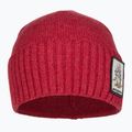 Patagonia Brodeo Beanie Beanie distracție porci de distracție armadillo/touring roșu trekking cap 2