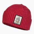 Patagonia Brodeo Beanie Beanie distracție porci de distracție armadillo/touring roșu trekking cap 3