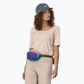 Borsetă Patagonia Ultralight Black Hole Mini Hip Pack 1 l patchwork/belay blue 5