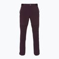 Pantaloni de trekking pentru bărbați Patagonia Point Peak Trail-Regular obsidian plum
