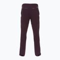 Pantaloni de trekking pentru bărbați Patagonia Point Peak Trail-Regular obsidian plum 2