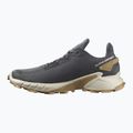 Pantofi de trail pentru bărbați Salomon Alphacross 4 gri L41724100 12