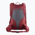 Rucsac turistic Salomon Trailblazer 30 l Aura Orange/Biking Red LC2059900 2