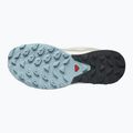 Încălțăminte de trekking pentru femei Salomon Outrise GTX bej L47142700 16