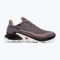 Încălțăminte de alergare pentru femei  Salomon Alphacross 5 GTX moonscape/black/white 2