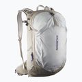 Rucsac turistic Salomon Trailblazer 30 l khaki/glacier gray