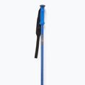 Bețe de schi Salomon Polar Pro race blue 2