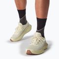 Încălțăminte de alergare pentru bărbați Salomon Thundercross asphalt/sharkskin/spray 11