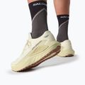 Încălțăminte de alergare pentru bărbați Salomon Thundercross asphalt/sharkskin/spray 12