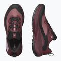 Încălțăminte de alergare pentru femei Salomon Genesis GTX rose taupe/black orchid/bouquet 13