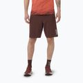 Pantaloni scurți de alergare pentru bărbați Salomon S/Lab Ultra 2IN1 decadent chocolate