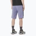 Pantaloni scurți de trekking pentru bărbați Salomon Outerpath Utility blue granite / blue nights 2