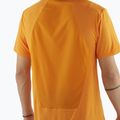 Tricou pentru bărbați  Salomon Outline Tee turmeric 3