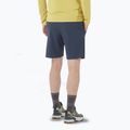 Pantaloni scurți pentru bărbați Salomon Wayfarer Ease blue nights 2