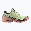 Pantofi de alergare damă Salomon Speedcross 6 GTX lime cream/mahogany rose/black 2