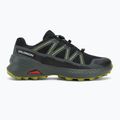 Încălțăminte de alergare pentru bărbați Salomon Speedcross Peak GTX black/urban chic/dark citron 2
