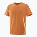 Tricou pentru bărbați  Salomon Big Logo Tee sierra 4