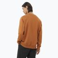 Bluză pentru bărbați Salomon Logo Crewneck sierra 2