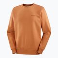 Bluză pentru bărbați Salomon Logo Crewneck sierra 5