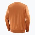 Bluză pentru bărbați Salomon Logo Crewneck sierra 6