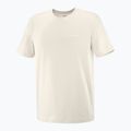 Tricou pentru bărbați  Salomon Logo Tee rainy day 4