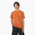 Tricou pentru bărbați  Salomon Logo Tee sierra