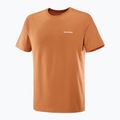 Tricou pentru bărbați  Salomon Logo Tee sierra 4