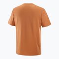 Tricou pentru bărbați  Salomon Logo Tee sierra 5