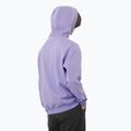 Hanorac pentru bărbați Salomon Logo Hoodie violet tulip 2