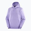Hanorac pentru bărbați Salomon Logo Hoodie violet tulip 3