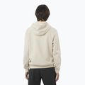 Hanorac pentru bărbați Salomon Logo Hoodie rainy day 2