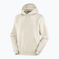 Hanorac pentru bărbați Salomon Logo Hoodie rainy day 3