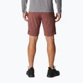 Pantaloni scurți de trekking pentru bărbați Columbia Titan Pass maro 1886441640 2