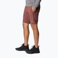 Pantaloni scurți de trekking pentru bărbați Columbia Titan Pass maro 1886441640 3