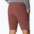 Pantaloni scurți de trekking pentru bărbați Columbia Titan Pass maro 1886441640 5