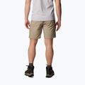 Pantaloni scurți de trekking pentru bărbați Columbia Silver Ridge Utility Cargo maro 2030744221 3
