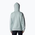 Bluză de trekking pentru bărbați Columbia Trek Hoodie gri 1957913 2