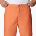 Pantaloni scurți de trekking pentru bărbați Columbia Washed Out portocalii1491953849 4