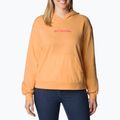 Bluză de antrenament pentru femei Columbia Logo III French Terry portocalie 2032871812