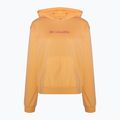Bluză de antrenament pentru femei Columbia Logo III French Terry portocalie 2032871812 5
