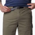 Pantaloni scurți de trekking pentru bărbați Columbia Pacific Ridge Belted verzi 2030951397 4