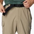 Pantaloni de trekking pentru bărbați Columbia Silver Ridge Utility Convertible maro 2012962221 4