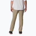 Pantaloni de trekking pentru bărbați Columbia Silver Ridge Utility maro 2012952221 2