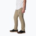 Pantaloni de trekking pentru bărbați Columbia Silver Ridge Utility maro 2012952221 3