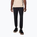 Pantaloni de trekking pentru bărbați Columbia Hike Jogger II black