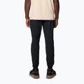 Pantaloni de trekking pentru bărbați Columbia Hike Jogger II black 2
